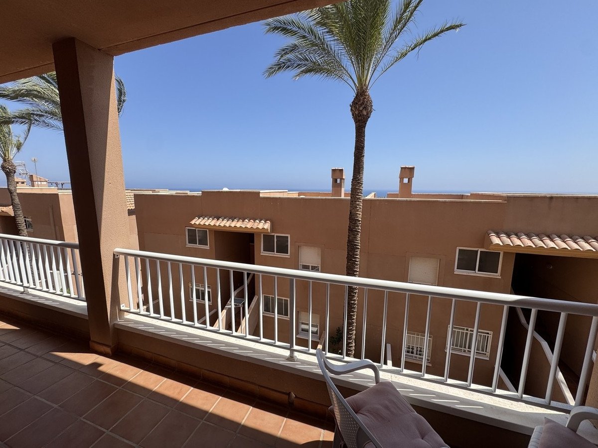 Balcony with white railing overlooking a building complex and the sea in the distance, with a palm tree in the foreground.