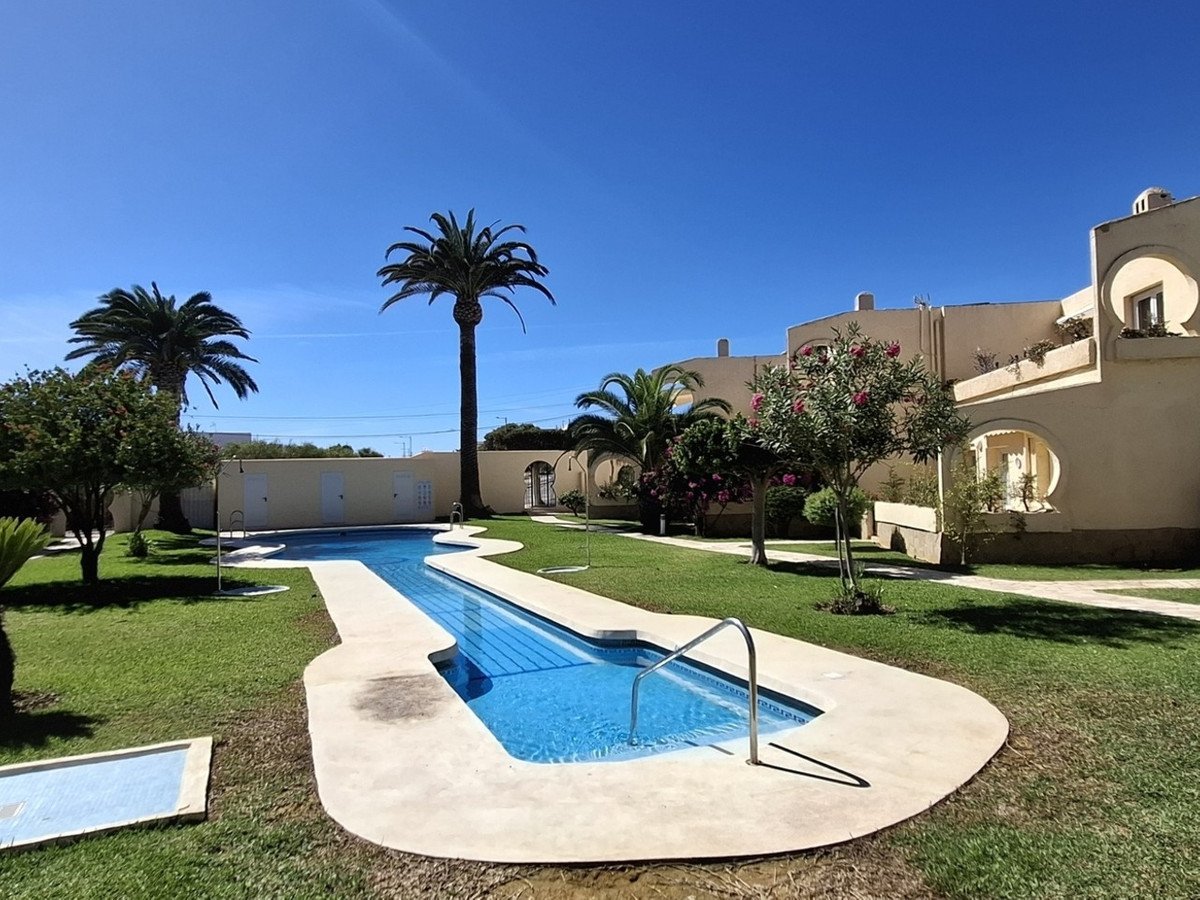 A long, narrow swimming pool with blue water and metal railings, surrounded by a green lawn and palm trees under a clear blue sky.
