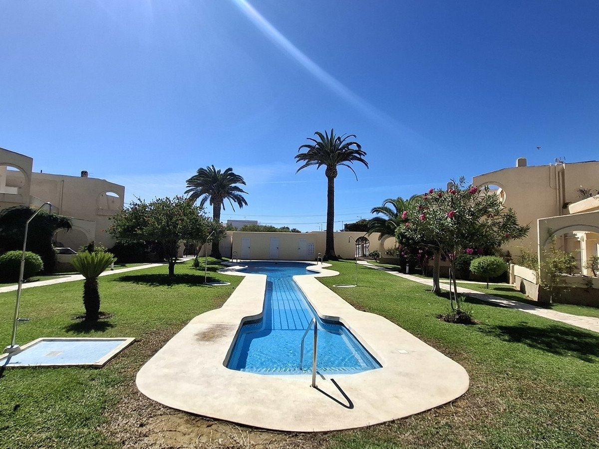 A bright outdoor swimming pool surrounded by a lush tropical garden and palm trees.