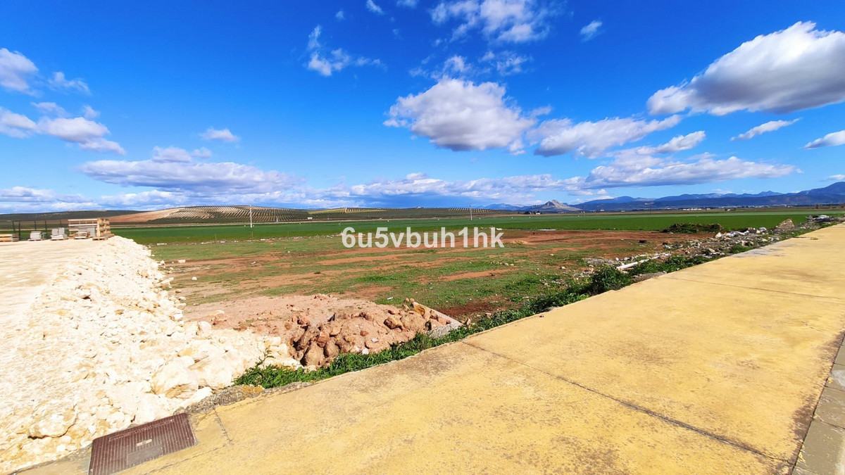Open landschap met blauwe lucht en wolken