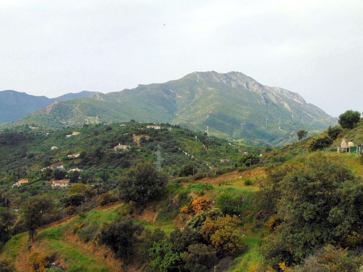 23 photo