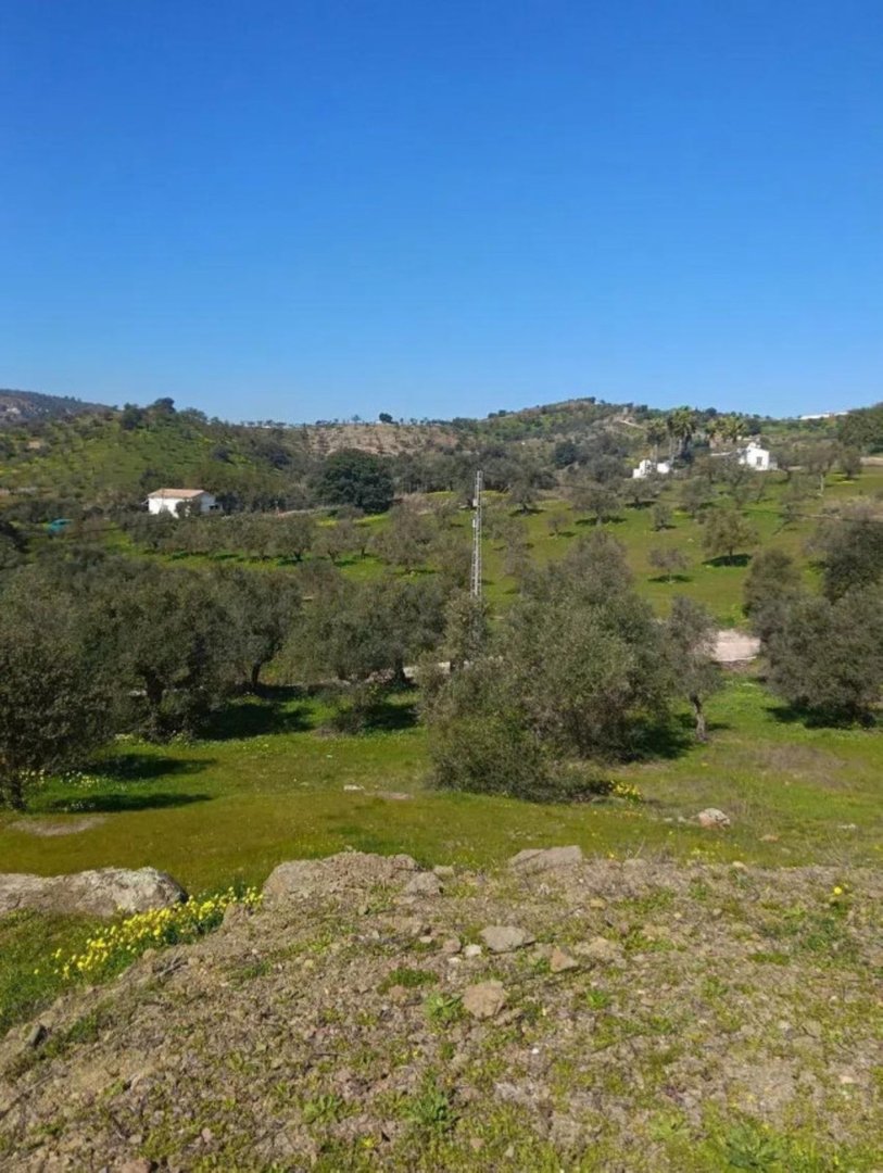 Land in Monda rajons: Monda — Zeme