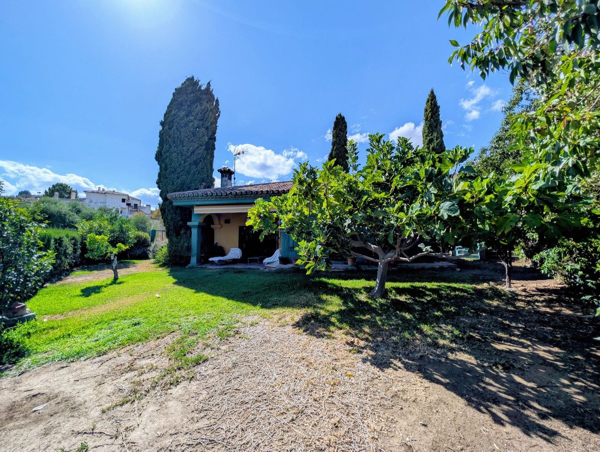 A sunny villa with a covered terrace and lounge chairs, surrounded by a lush green garden and mature trees.