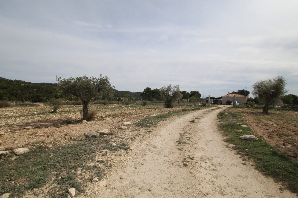 17 photo