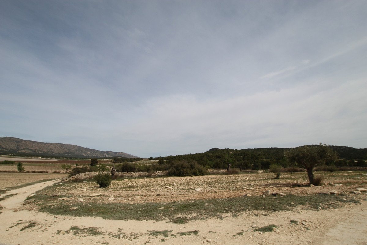 06 photo