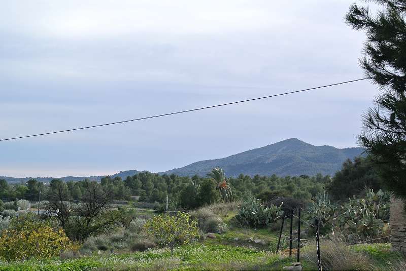 4 Bed Finca in Monóvar in Monóvar, Finca