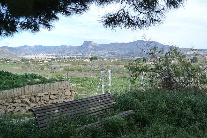 14 photo