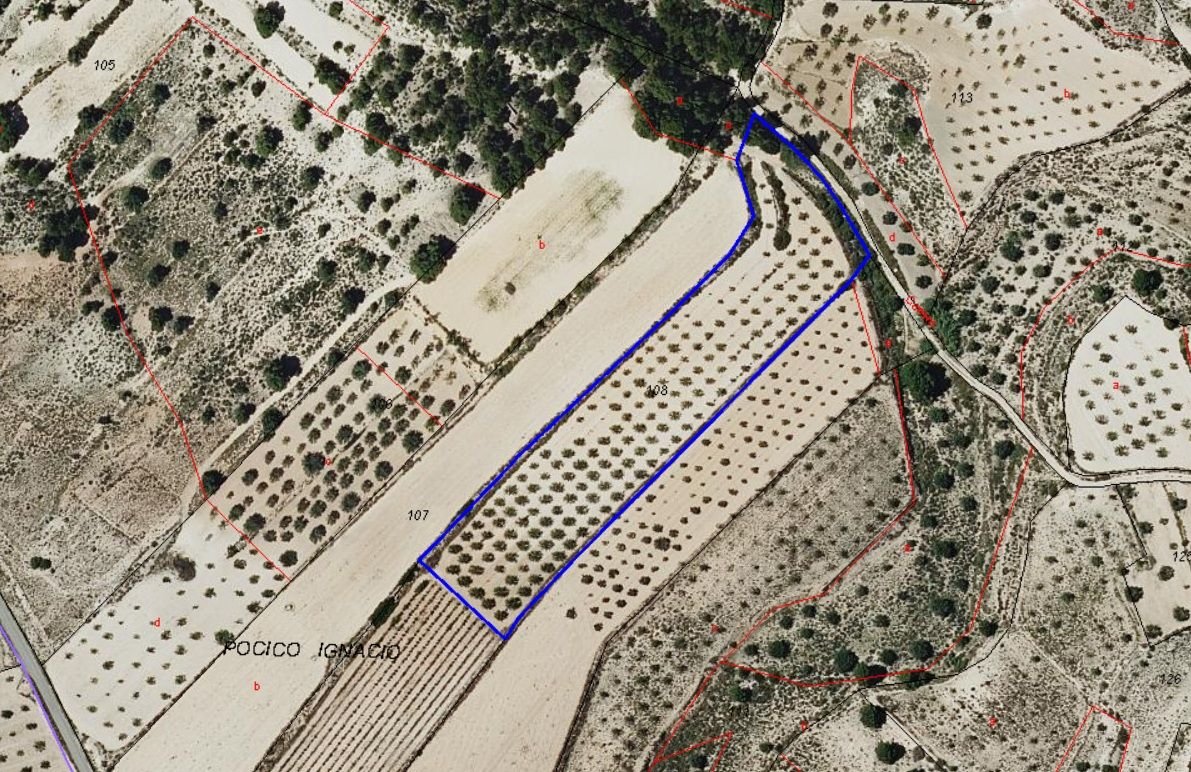 Luchtfoto van een woning met rechthoekig zwembad, omringd door bomen en velden.