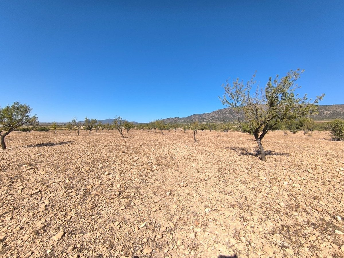 Land in Monóvar in Monóvar, Land