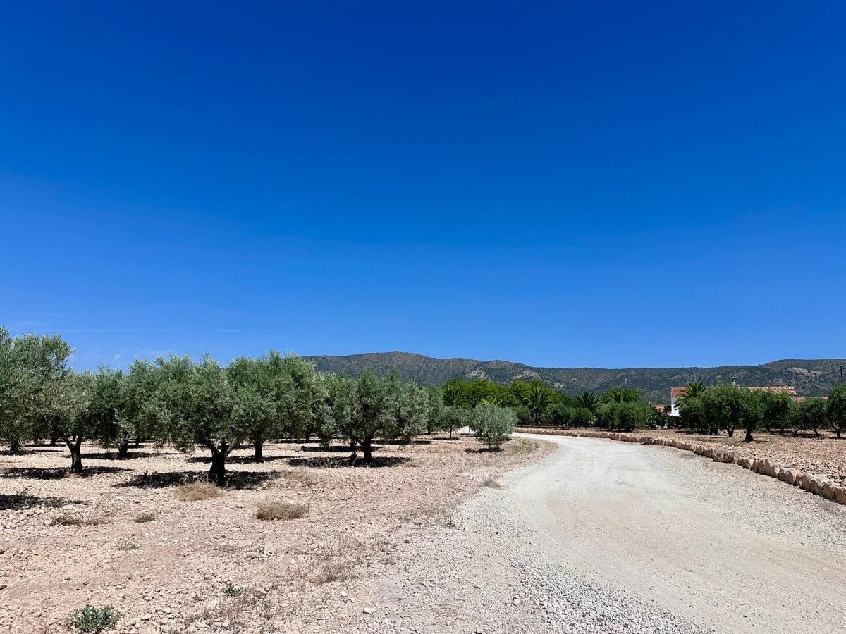 Land in Monóvar في Monóvar, 