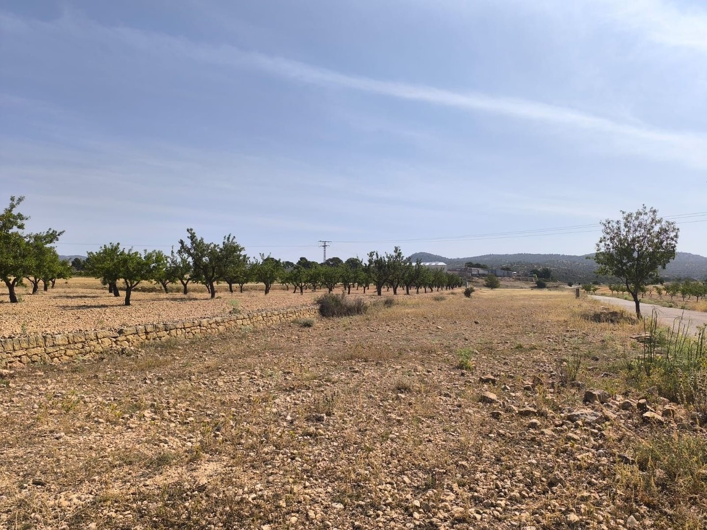 03 orchard landscape view