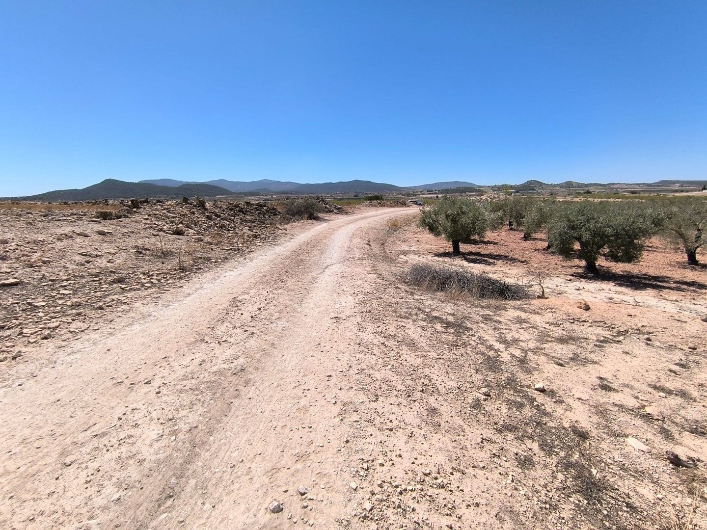 03 dirt road landscape