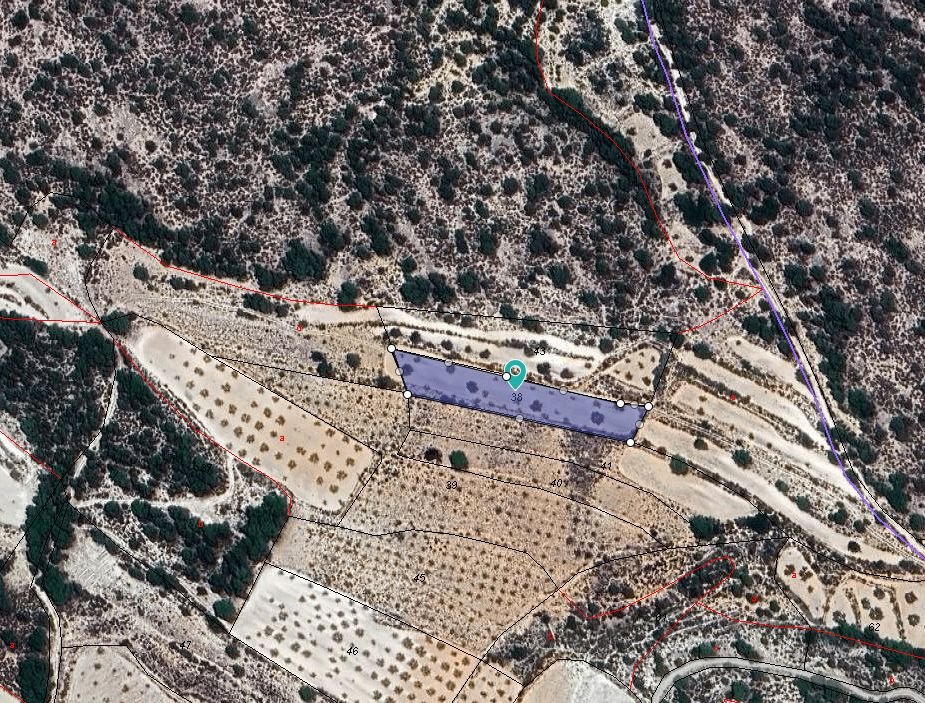 04 aerial view orchard landscape