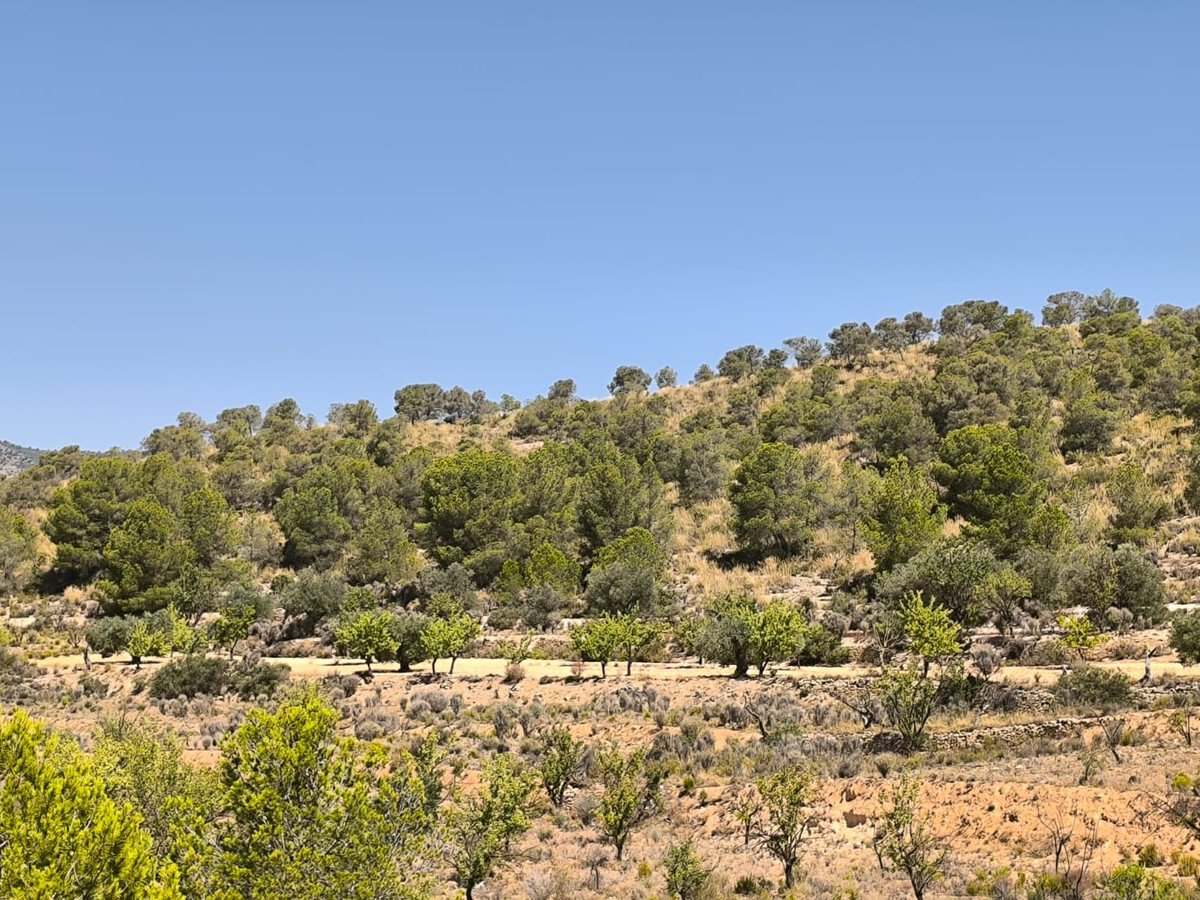 05 photo