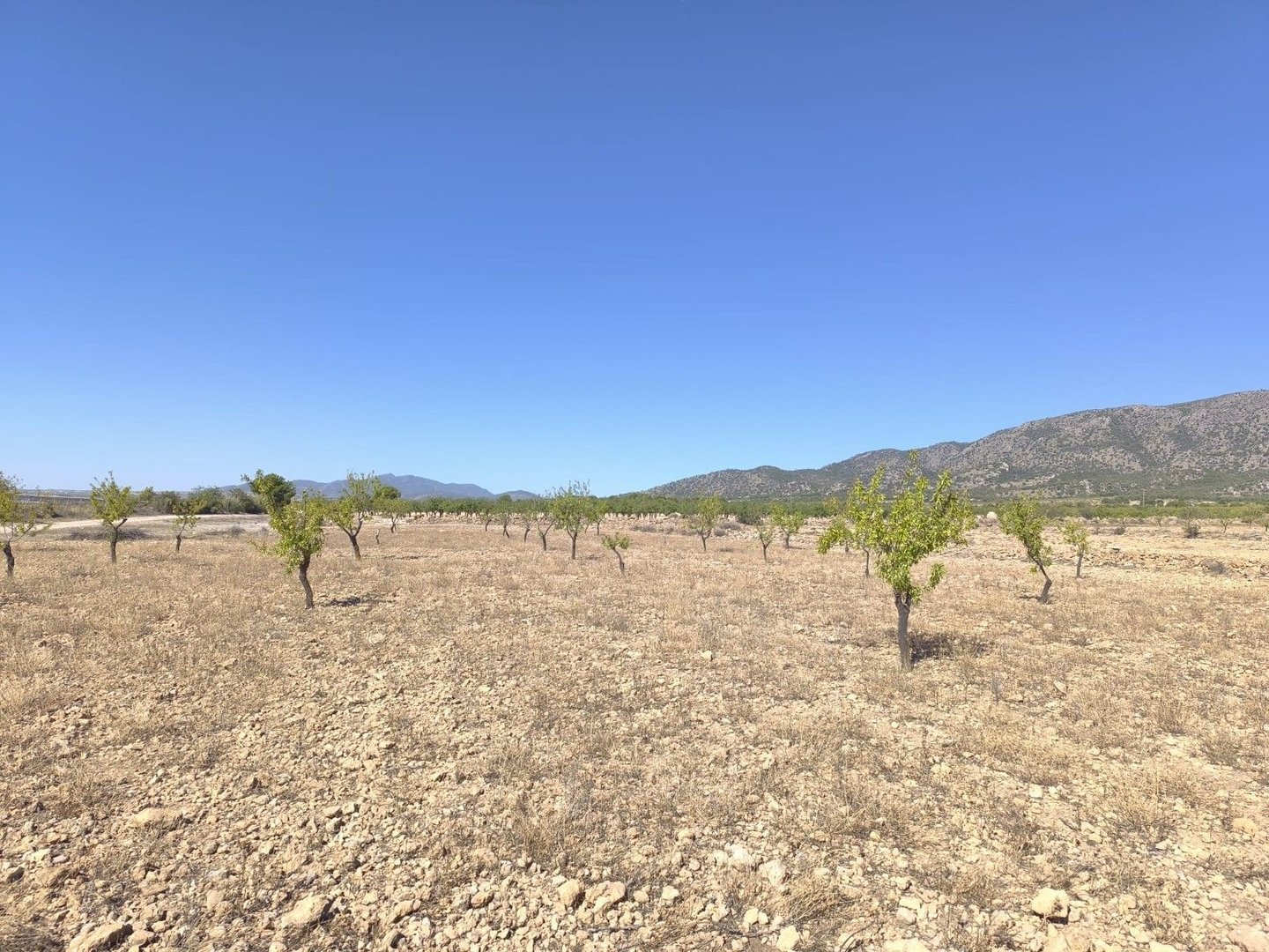 Land in Monóvar i Monóvar — Byggetomt