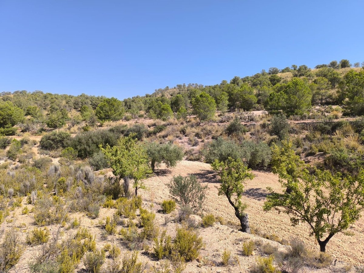 Land in Monóvar in Monóvar, Land