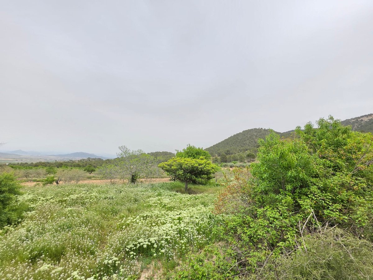 08 photo