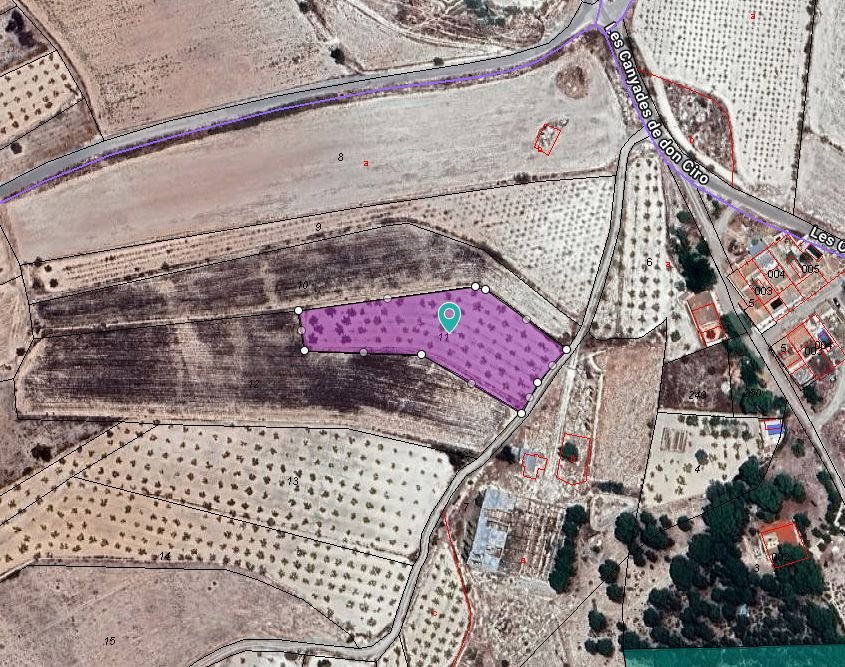 07 aerial view orchard landscape