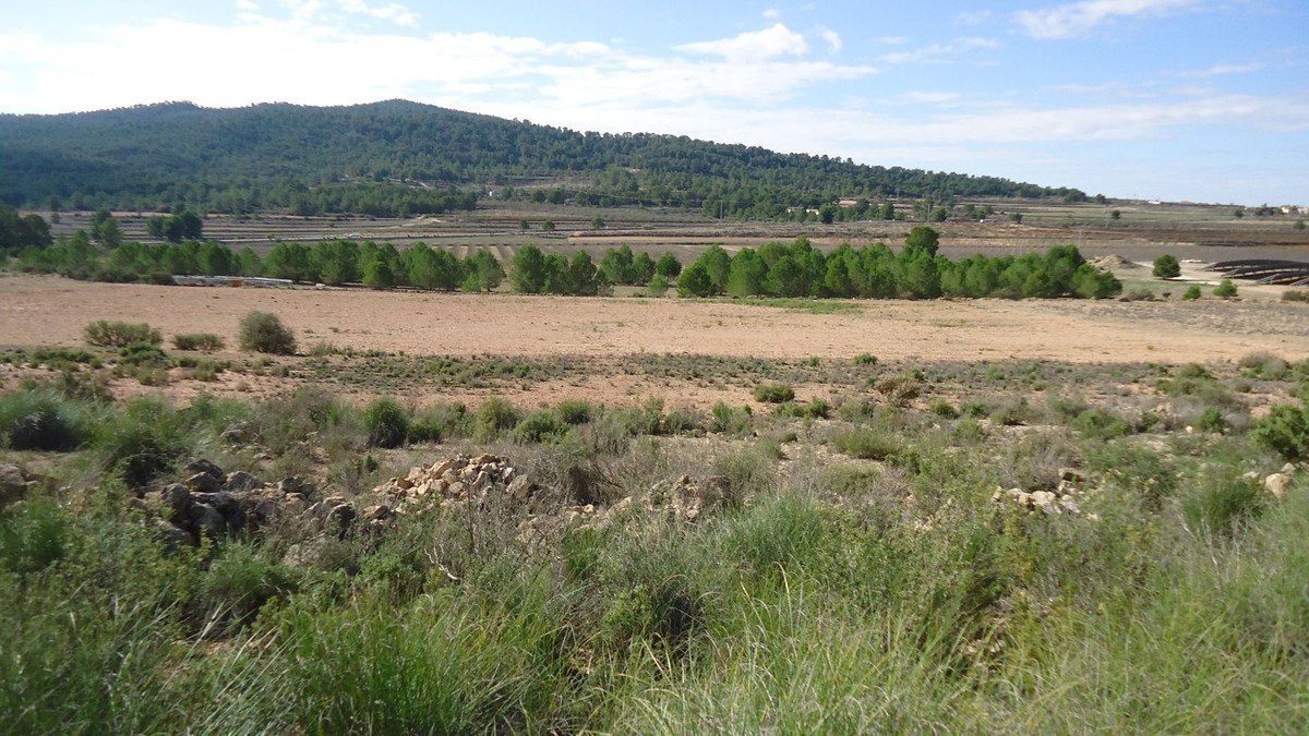 03 photo