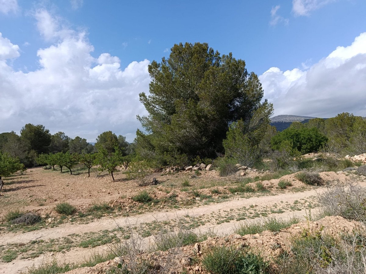 04 photo