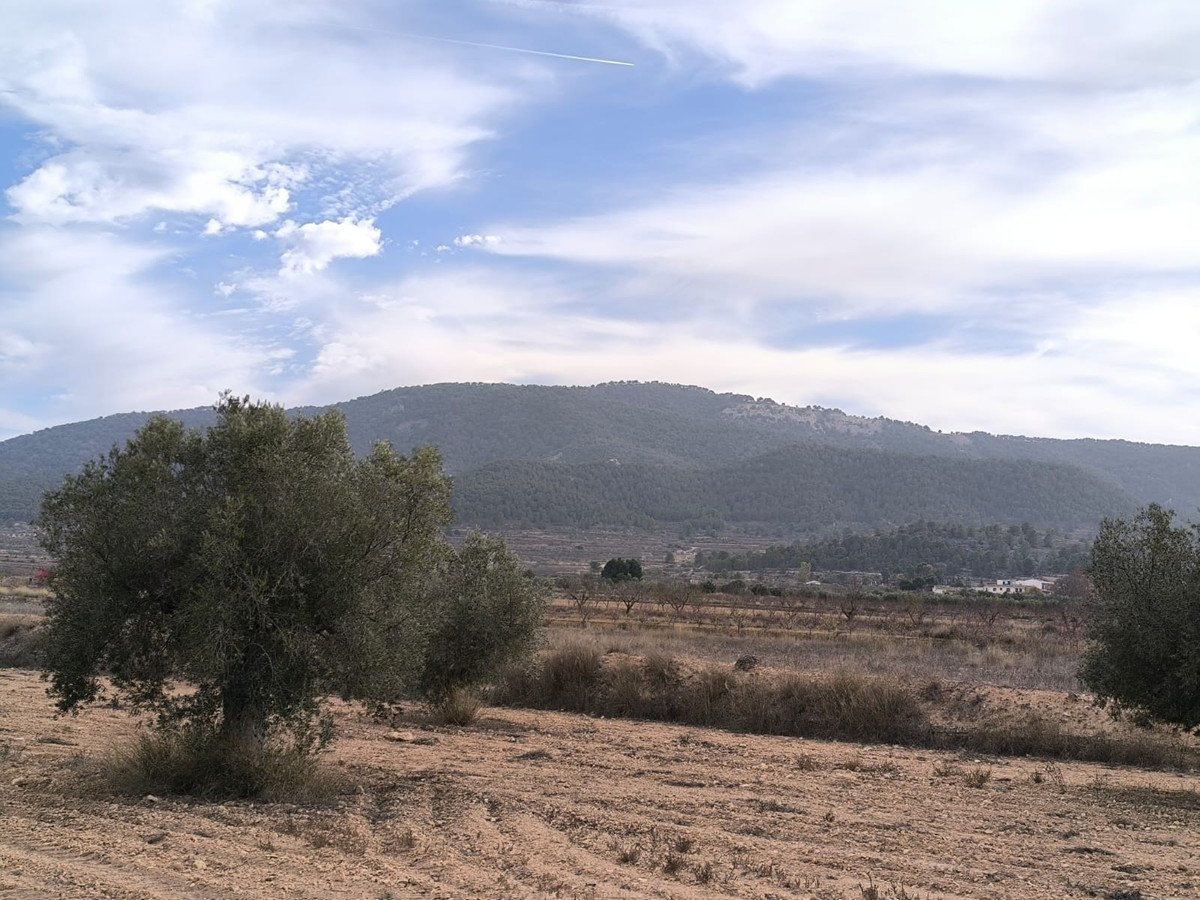 03 photo