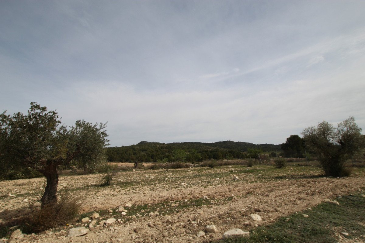 1 Bed Finca - Cortijo in Monóvar in Monóvar — Finca - Cortijo