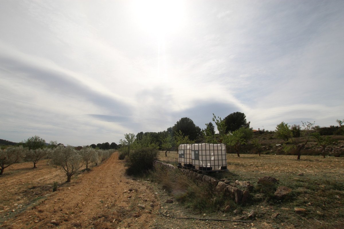04 photo