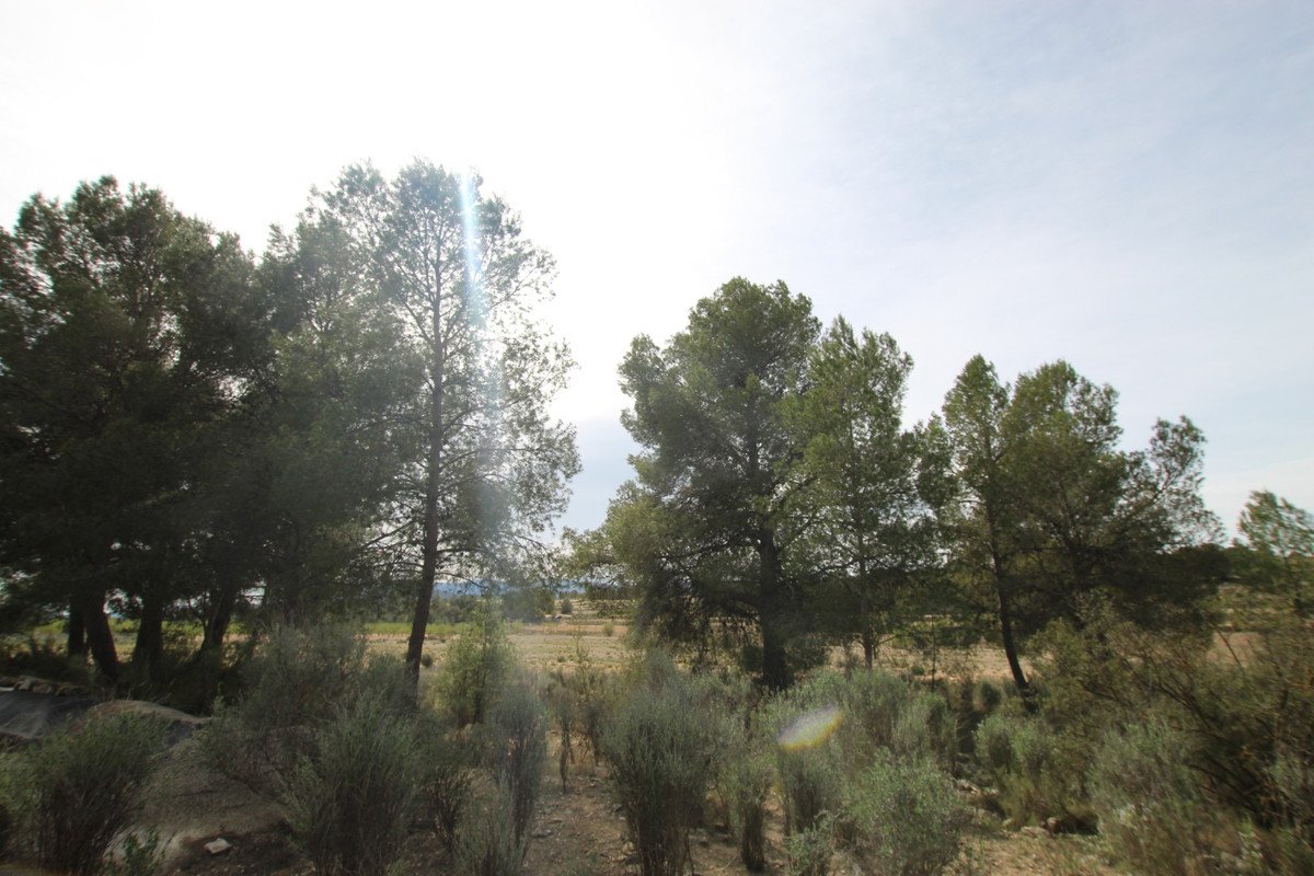 05 photo