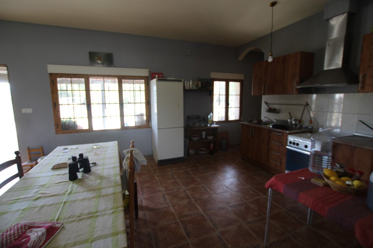 06 photo