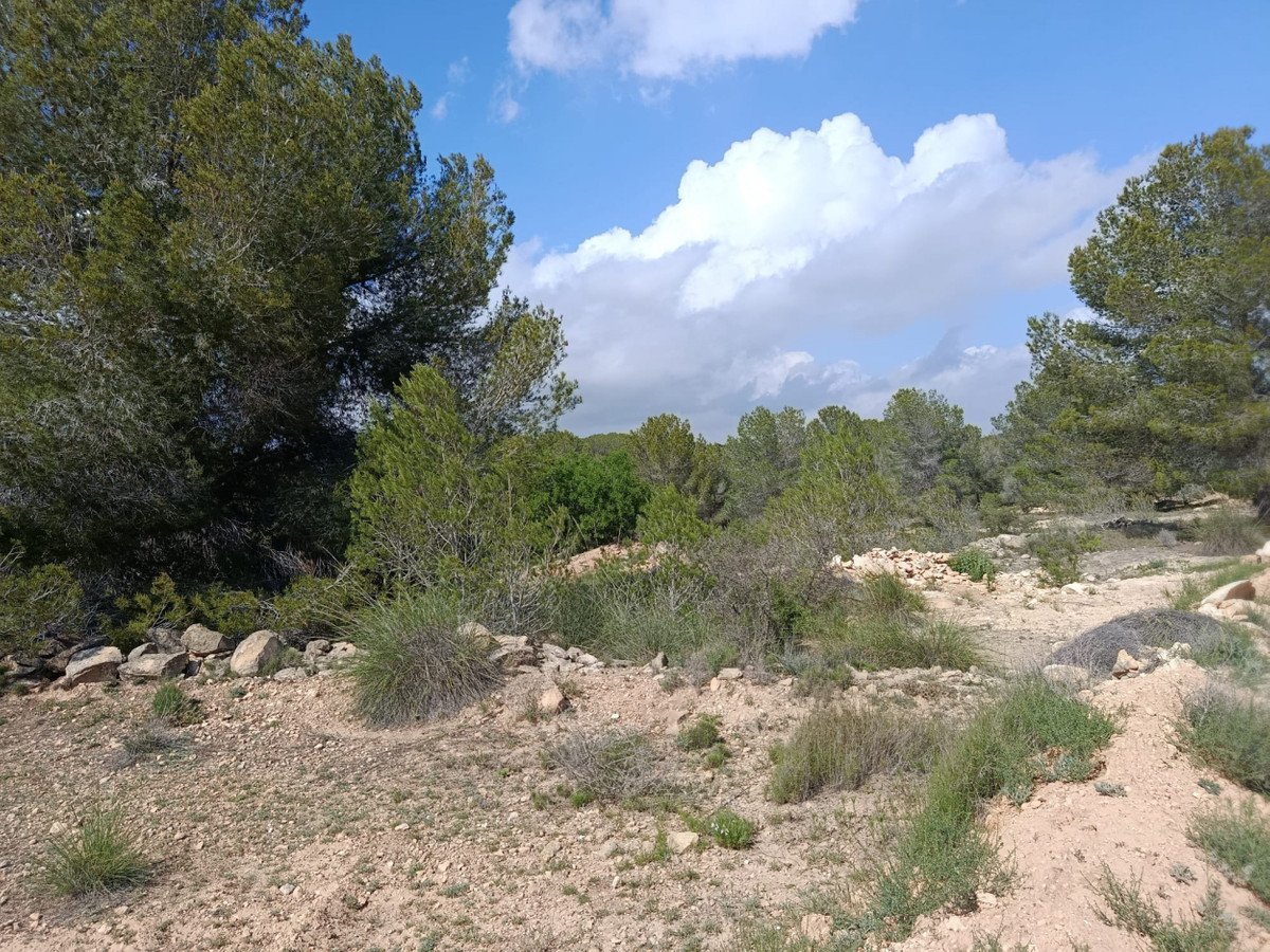 Residential Plot in Monóvar in Monóvar, Residential Plot