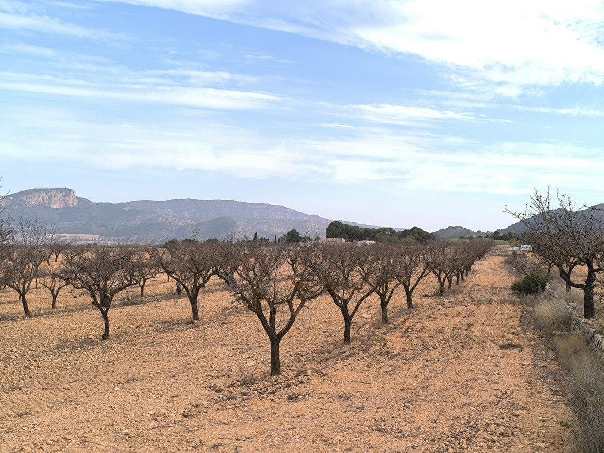 02 photo