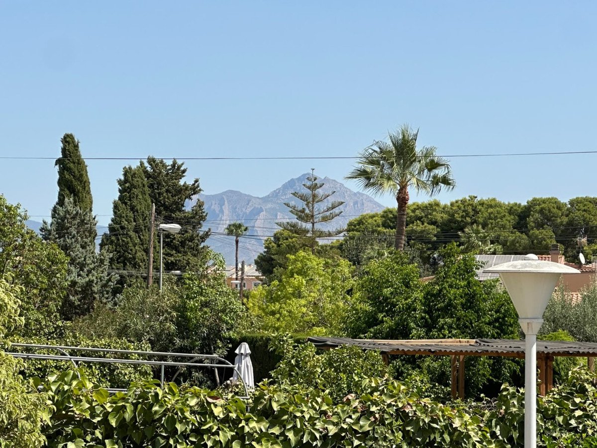 Lush garden with lush trees, a palm tree, and mountains visible in the distance under a clear blue sky.