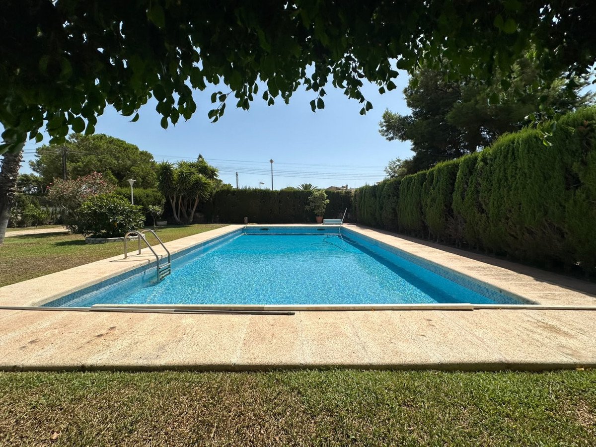 Rectangular outdoor swimming pool with a tiled edge, surrounded by a concrete deck and green grass, with lush trees and hedges.