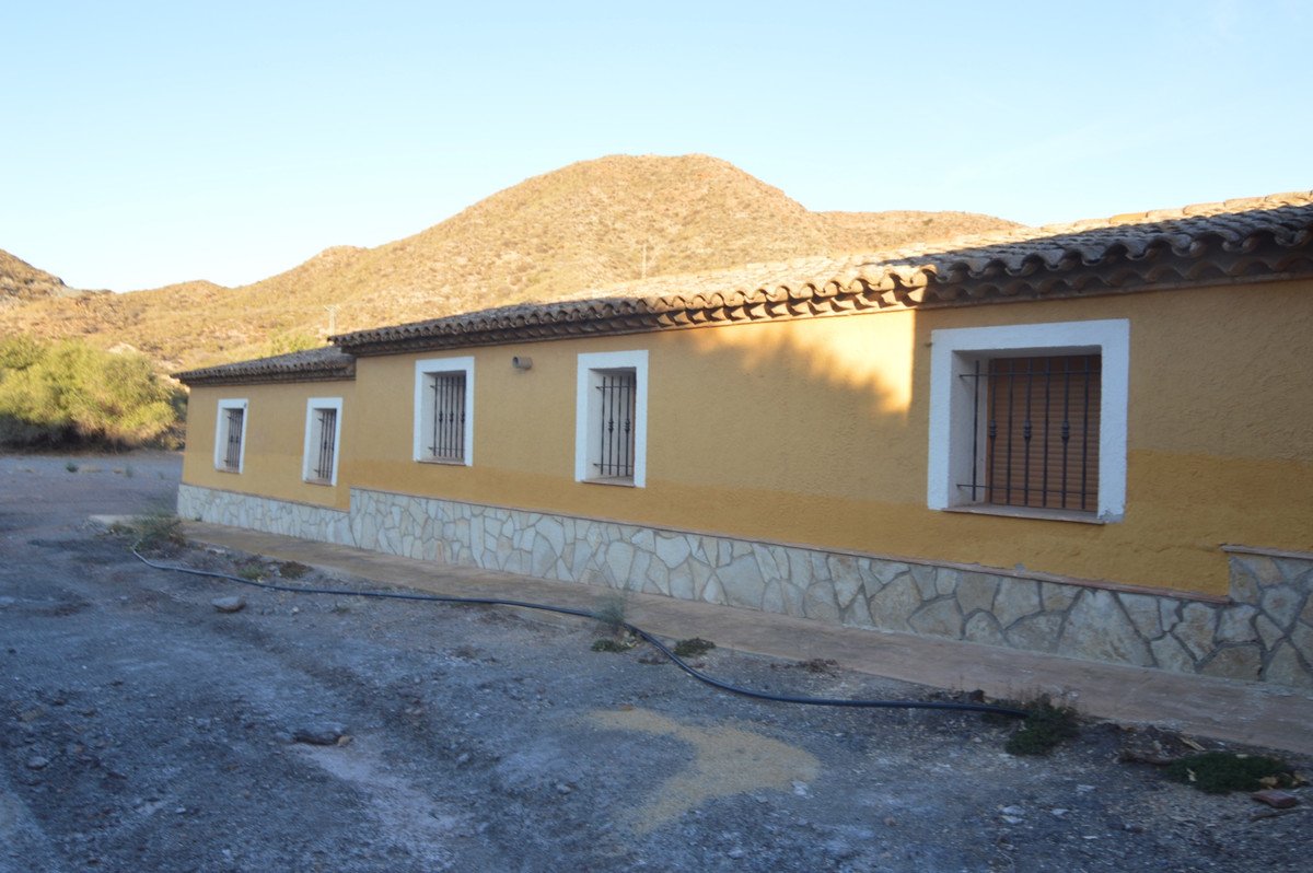 06 photo