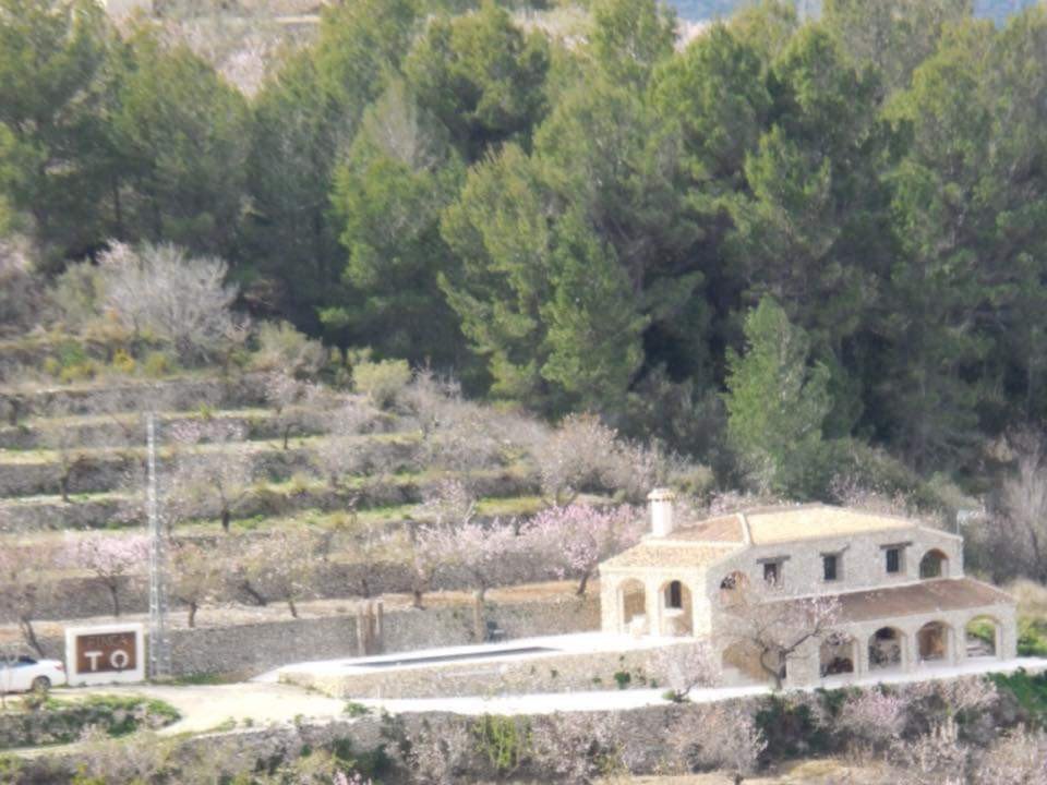 09 photo