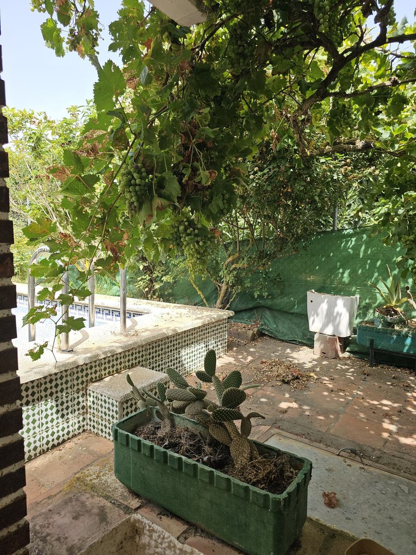 03 photo