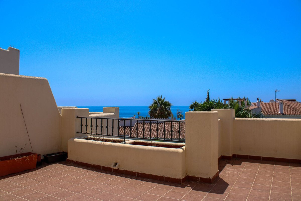 Terrace with sea view and palm tree, overlooking rooftops and the ocean under a clear blue sky.