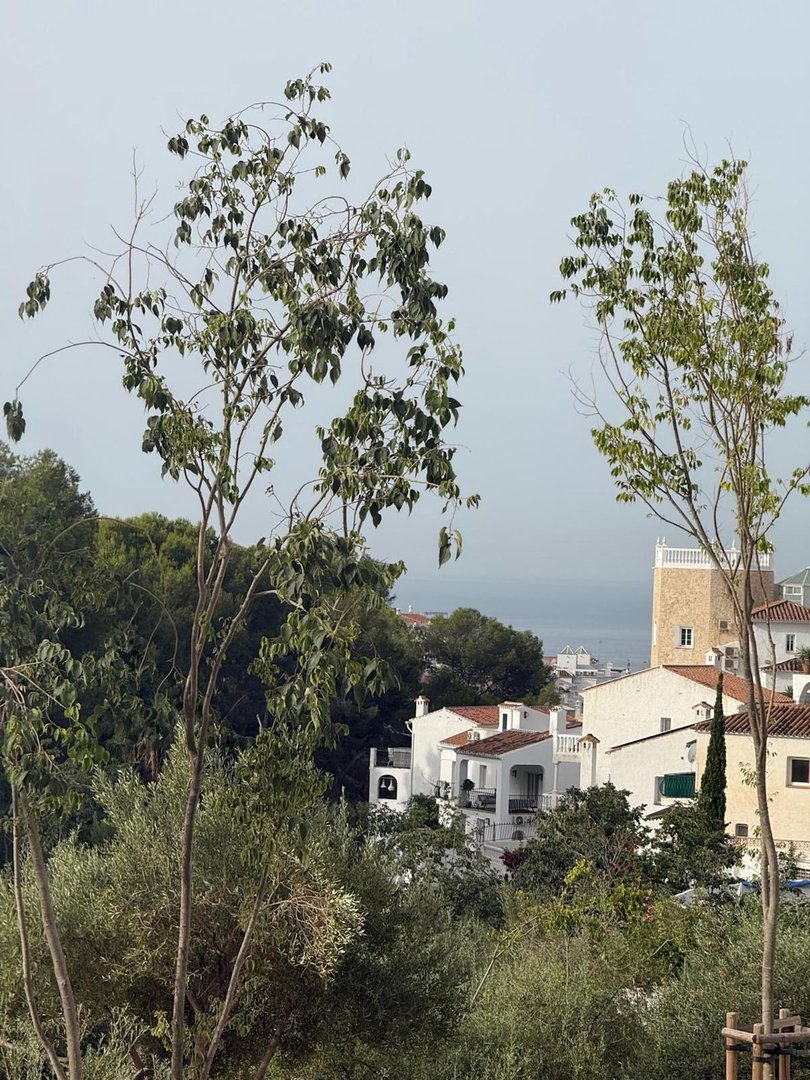 3 Bed Detached Villa in Nerja
