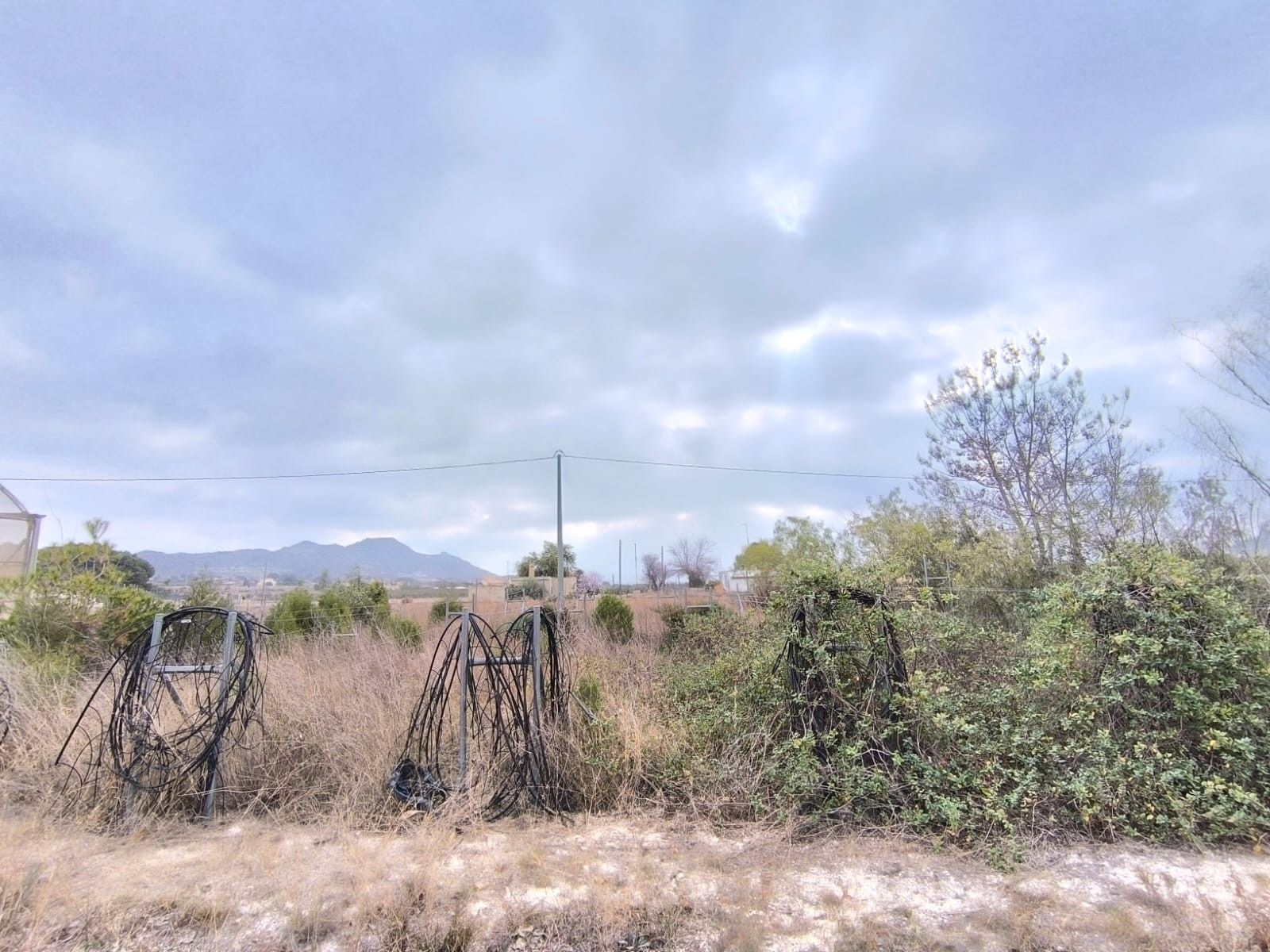 06 photo