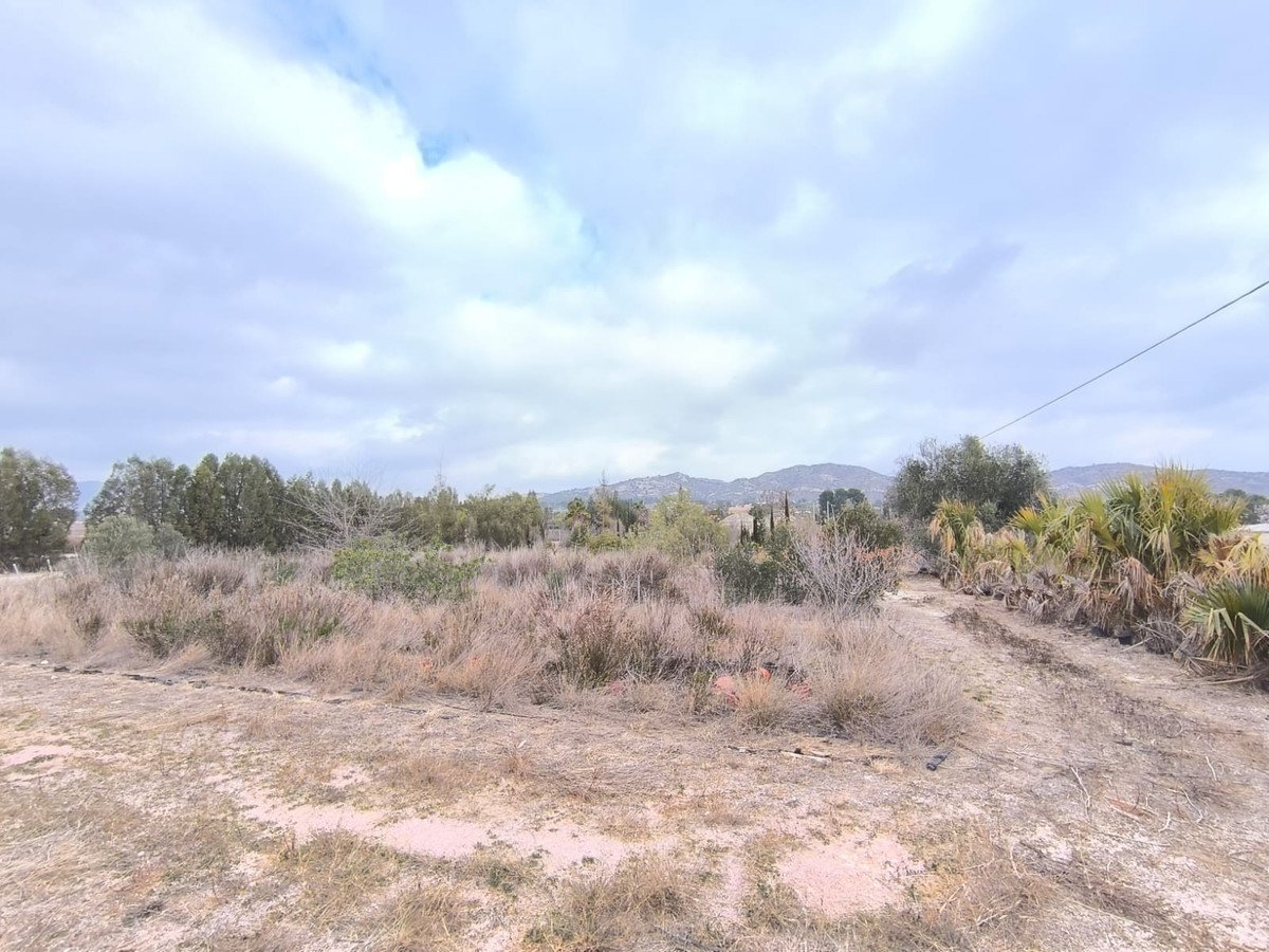 Property in Aspe in Aspe, Overig
