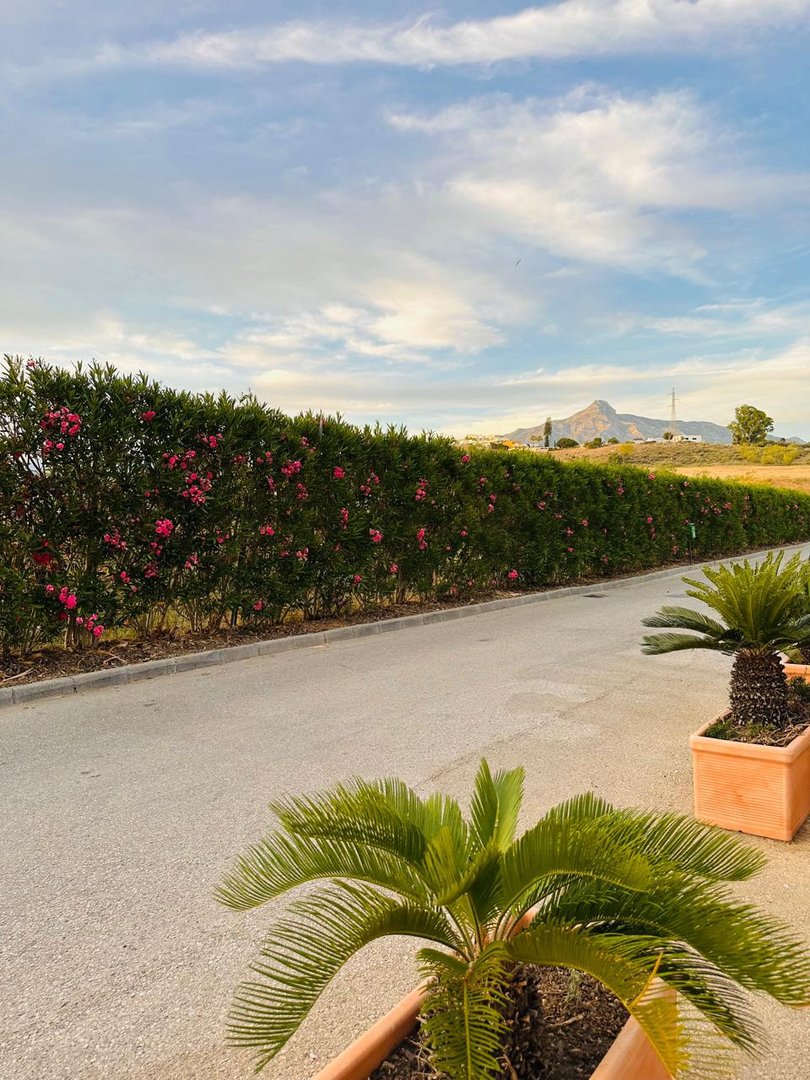 3 Bed Townhouse in Nueva Andalucía in Nueva Andalucía — Townhouse