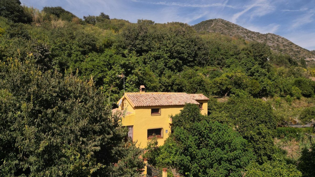 A yellow house nestled amongst lush green trees with a mountain backdrop under a blue sky.