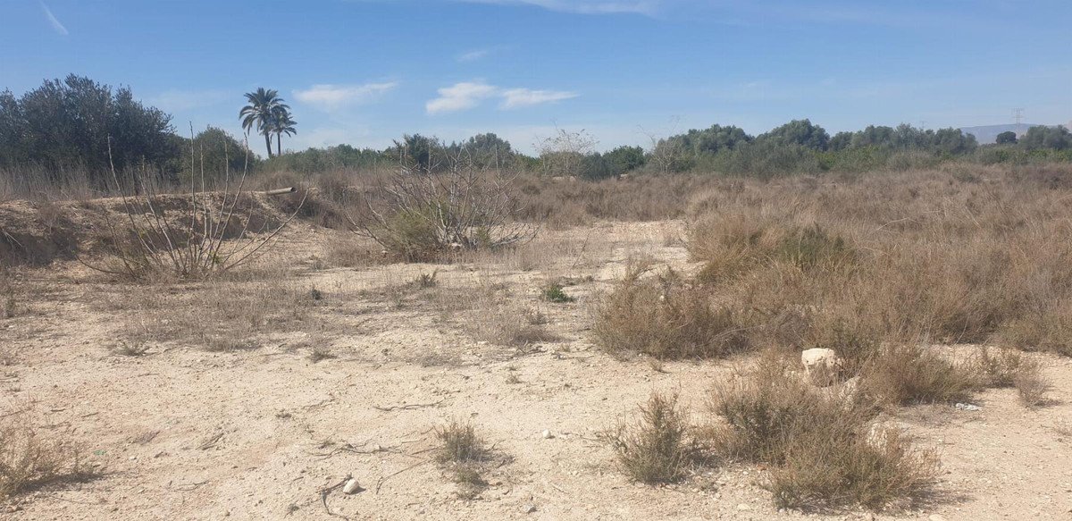 A dry, arid landscape with sparse vegetation, dry grasses, and palm trees in the distance under a blue sky.