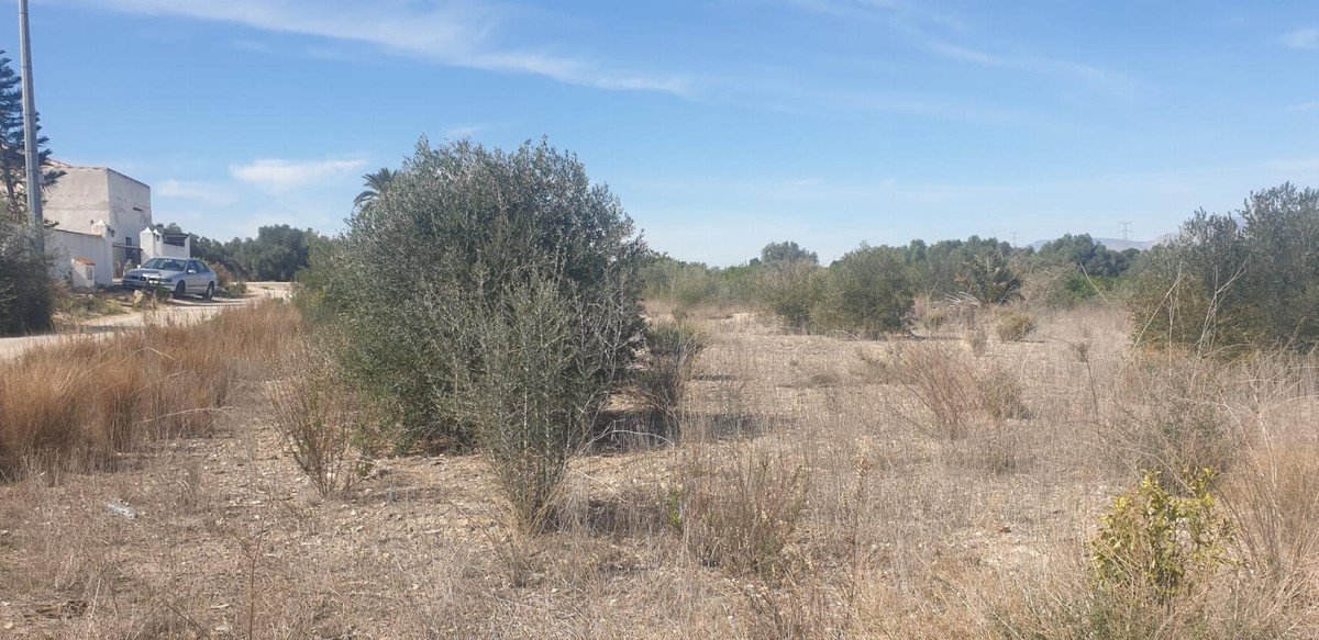Rural landscape with dry vegetation, olive trees, and a car near a building under a clear blue sky.