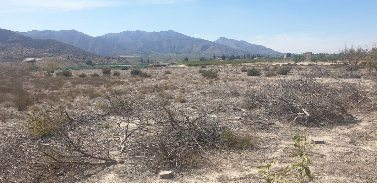 Dry, arid landscape with sparse vegetation and cut branches in the foreground, mountains in the distance under a clear blue sky.