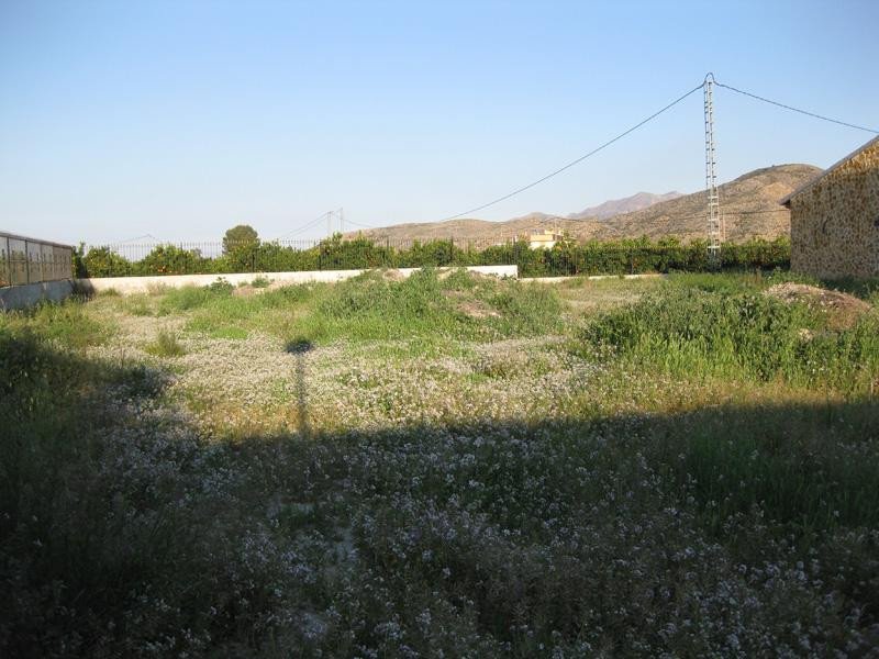 04 photo