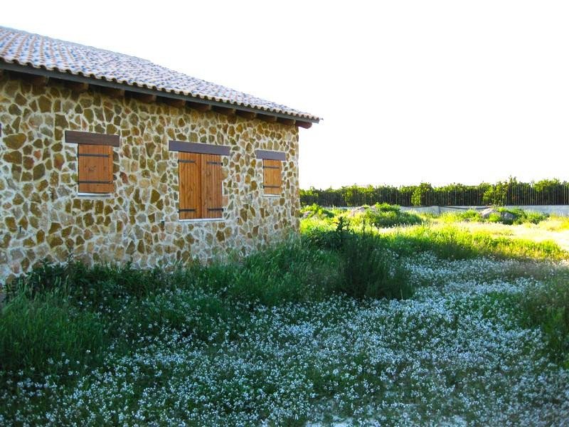 06 photo