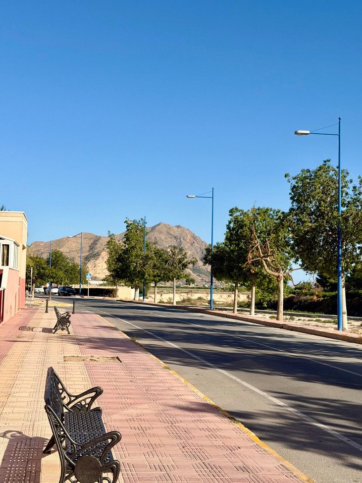 A street with benches and trees, leading to a mountain view under a clear blue sky.