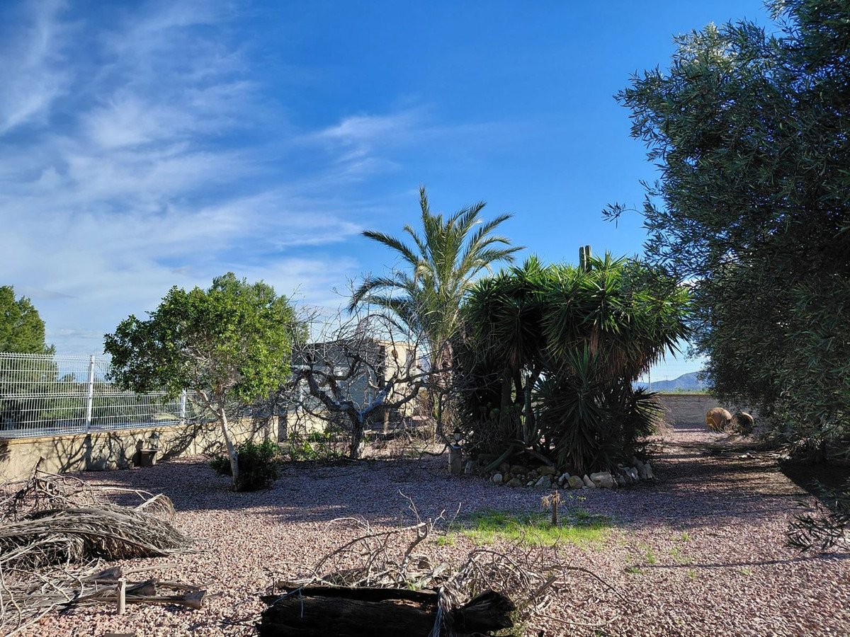 A sunny outdoor area with gravel ground, palm trees, and a clear blue sky.