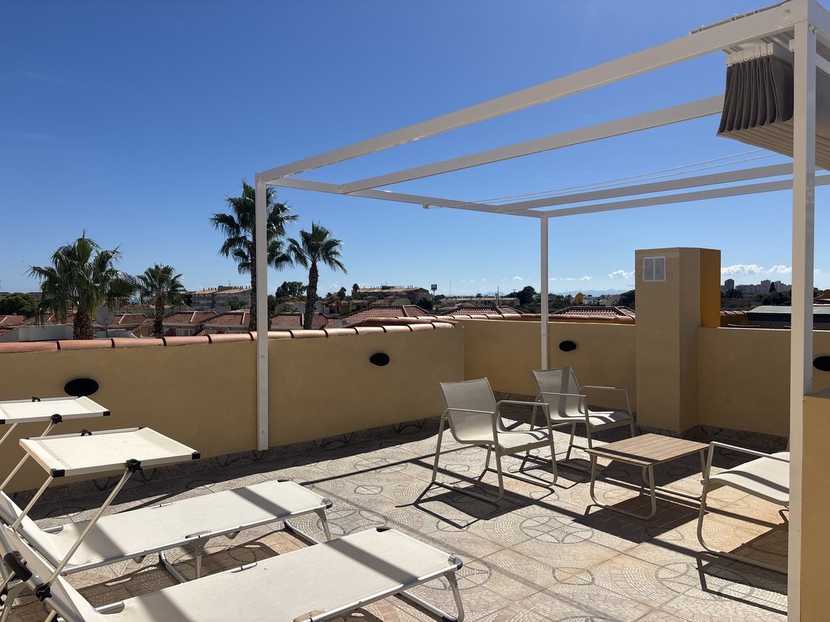 A sunny terrace with sun loungers, chairs, and a table, featuring palm trees and a view of rooftops.